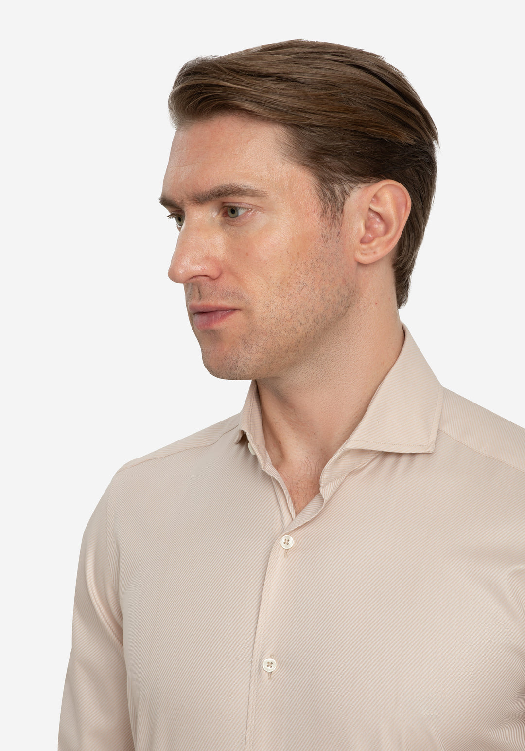 Velour Beige Stripe Signature Twill Shirt