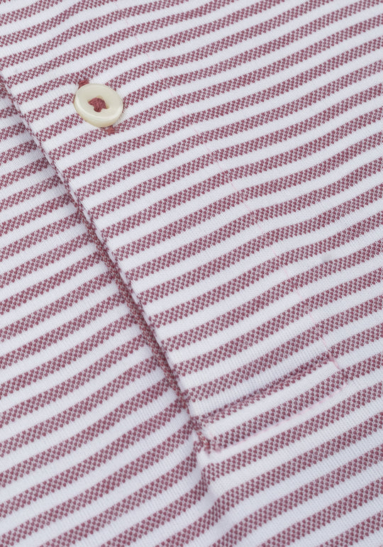 Ash Rose Stripe Cotton Polo Shirt