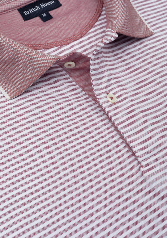 Ash Rose Stripe Cotton Polo Shirt