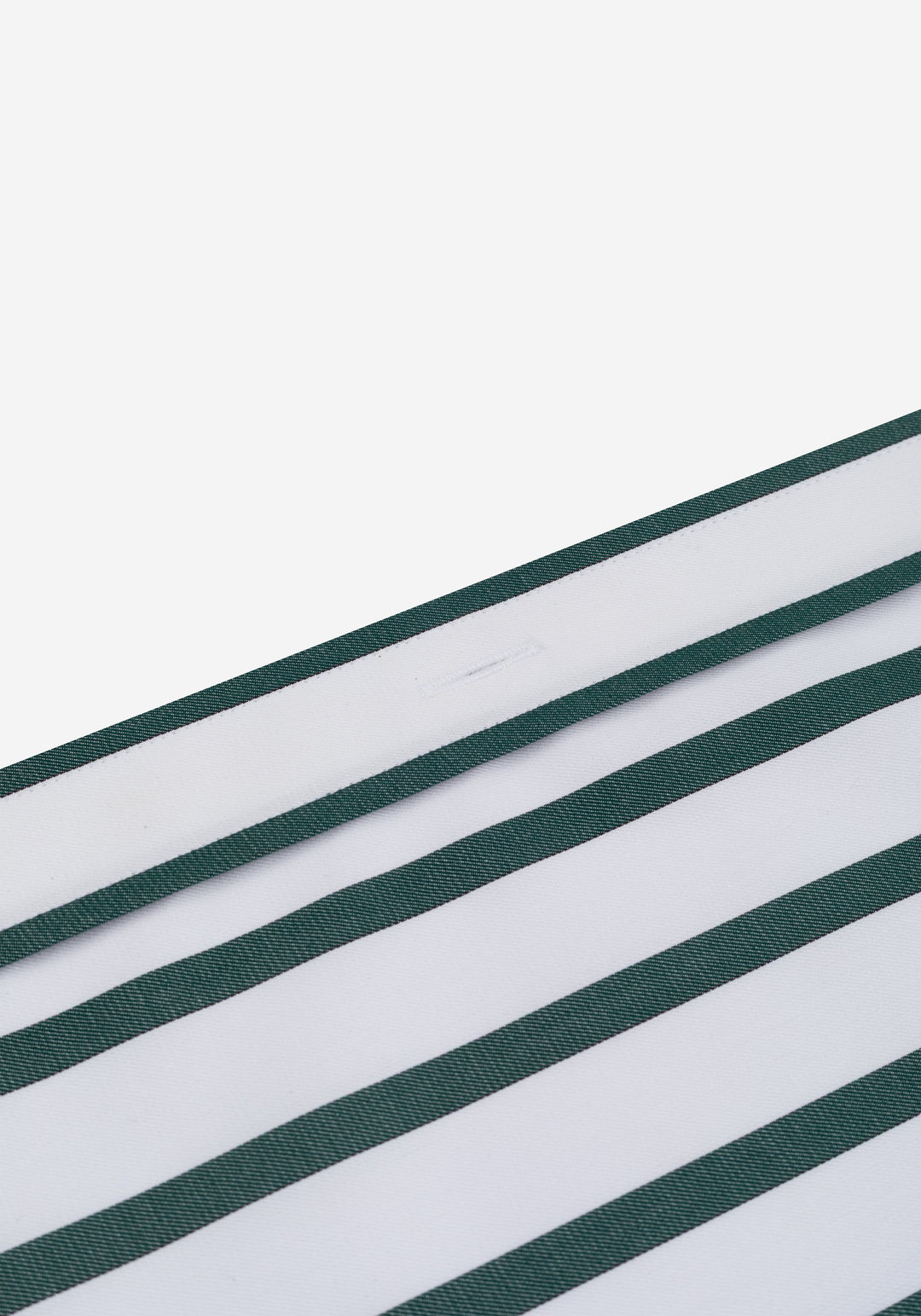 Ivy Green Stripe Signature Twill Shirt