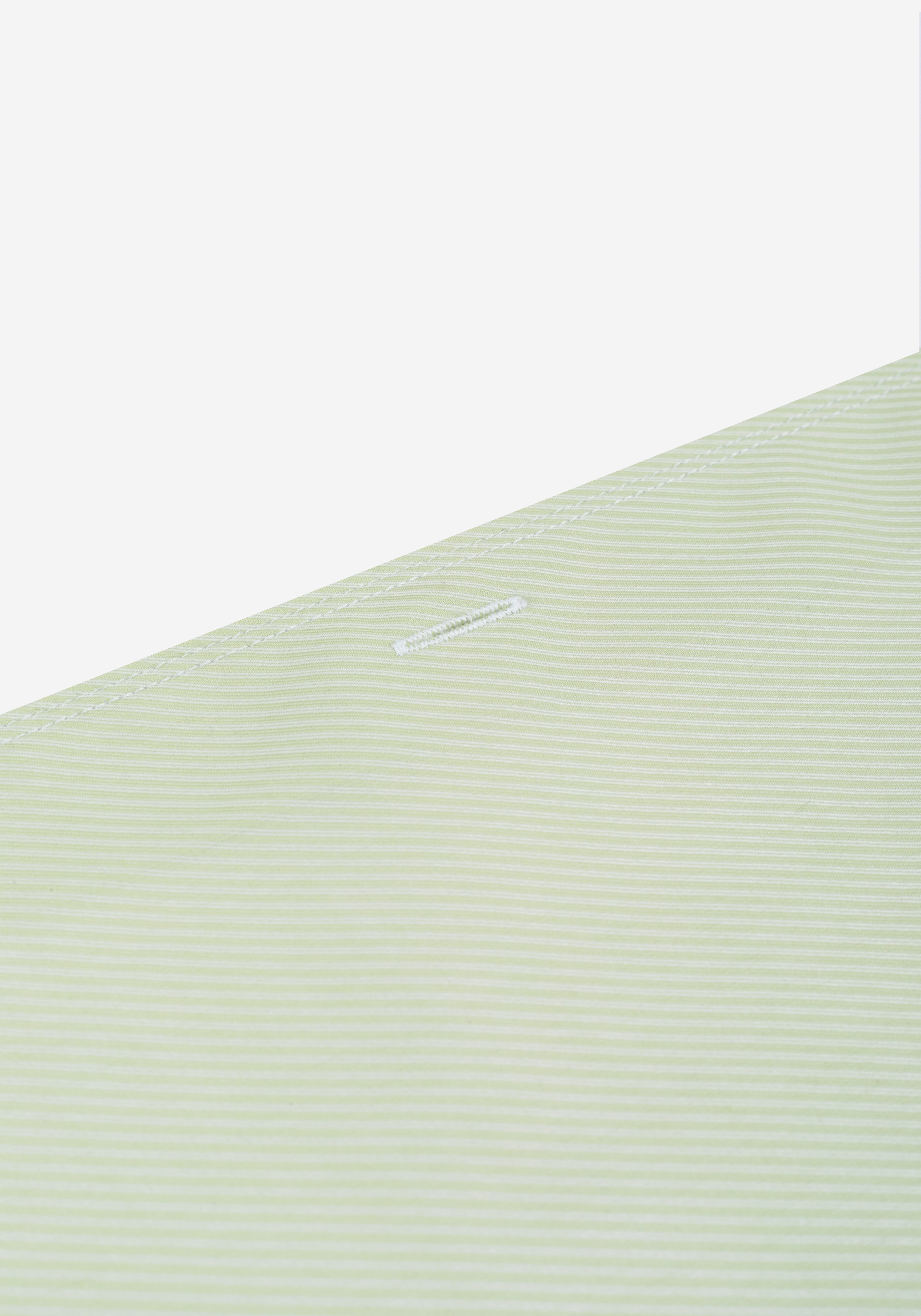 Willow Green Stripe Signature Twill Shirt