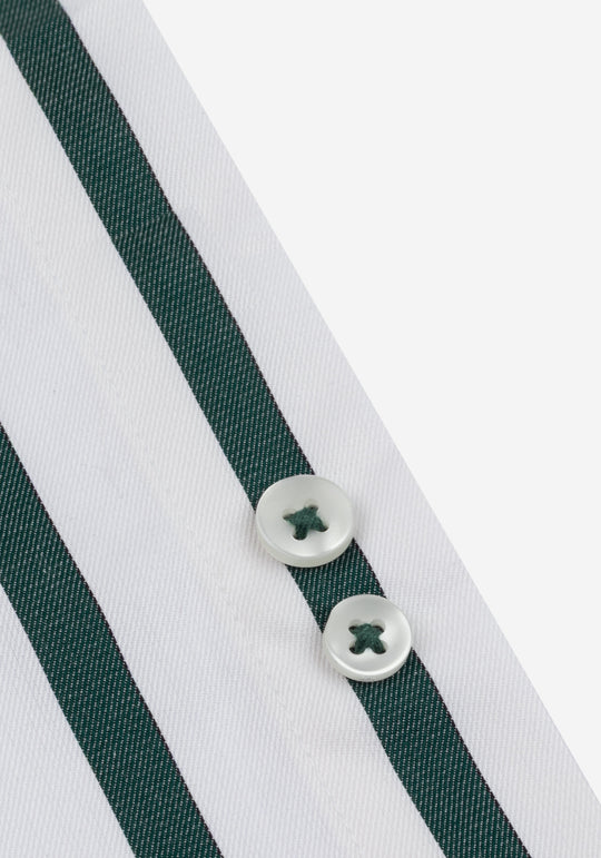 Ivy Green Stripe Signature Twill Shirt