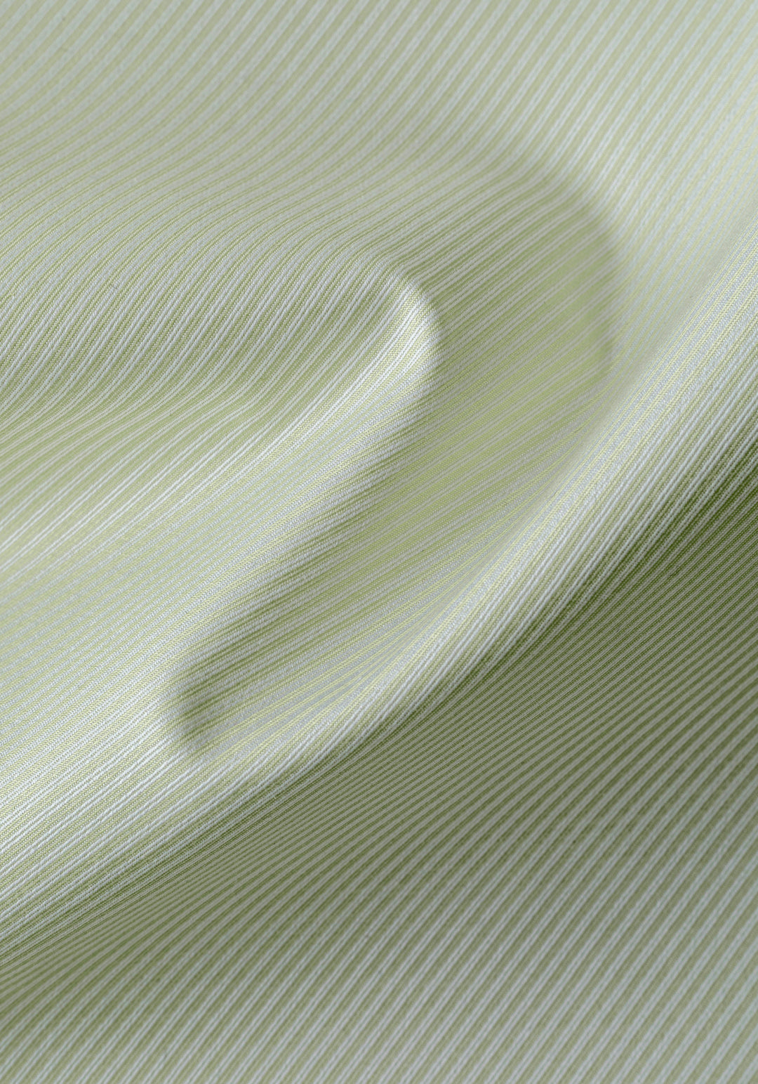 Willow Green Stripe Signature Twill Shirt