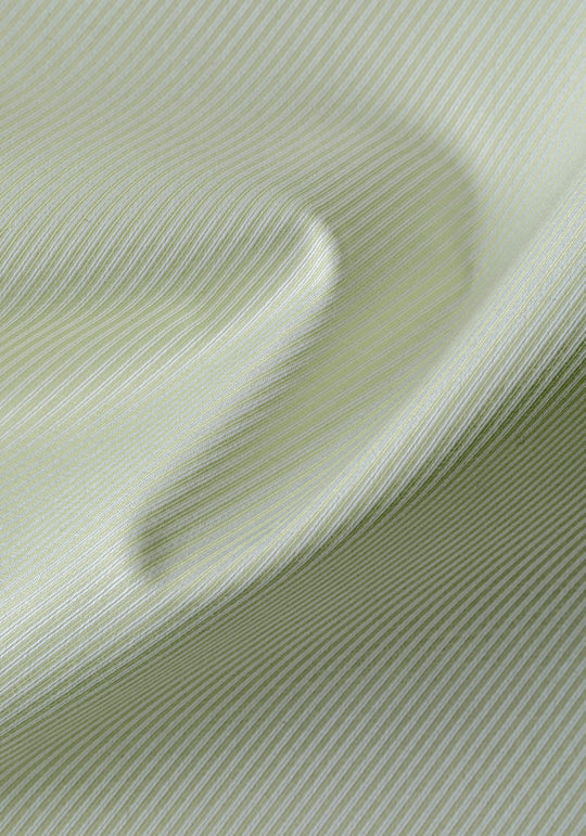 Willow Green Stripe Signature Twill Shirt