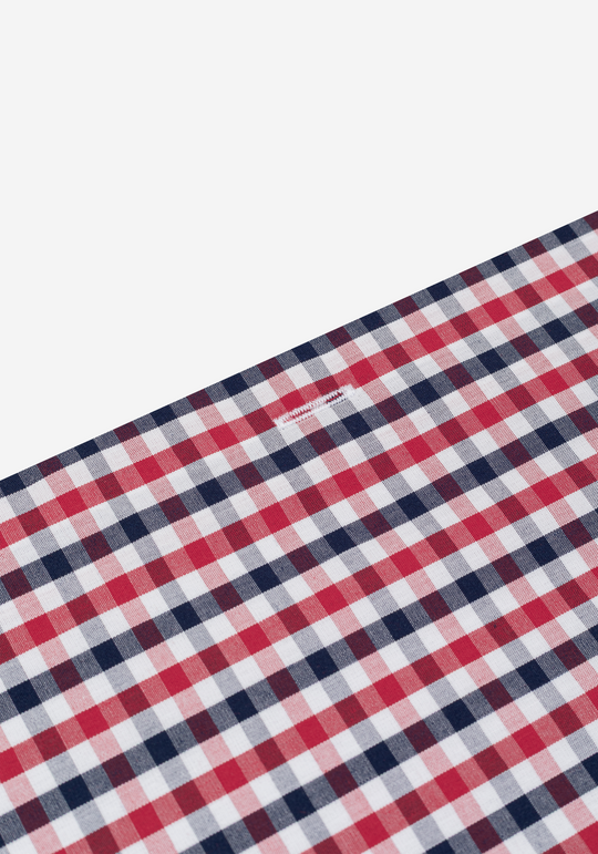 Currant Red Checked Oxford Shirt