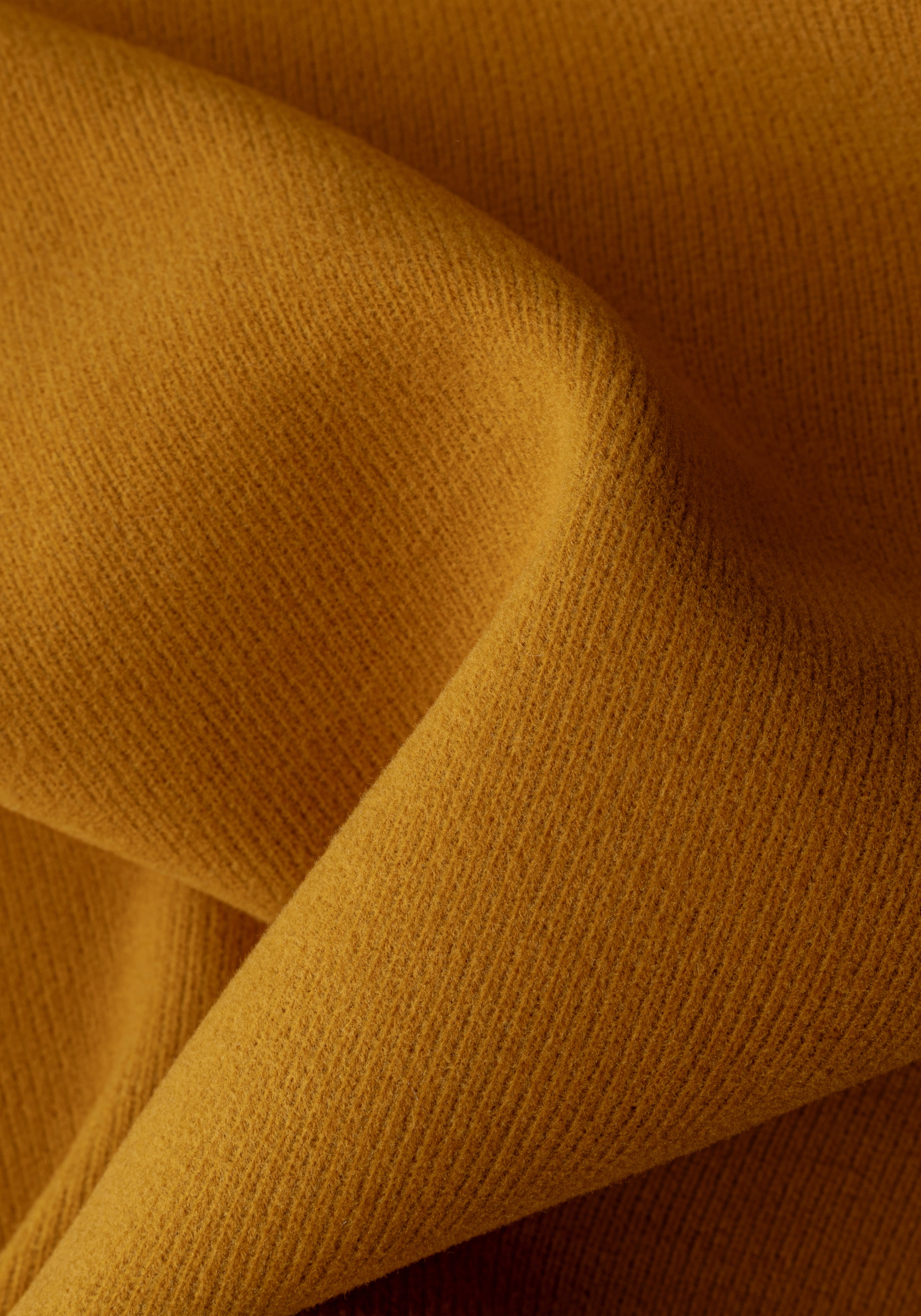 Amber Orange Cotton Sweatshirt